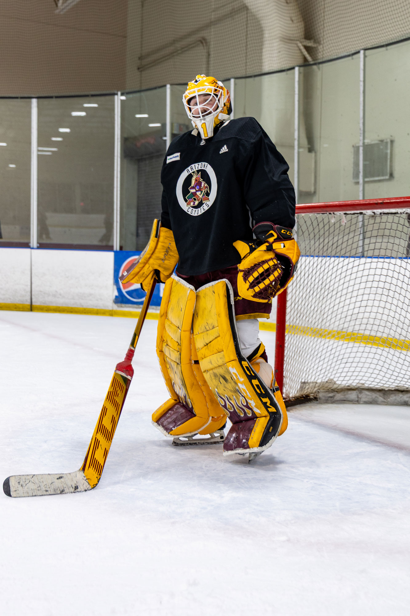 Ultimate Goalie Showdown