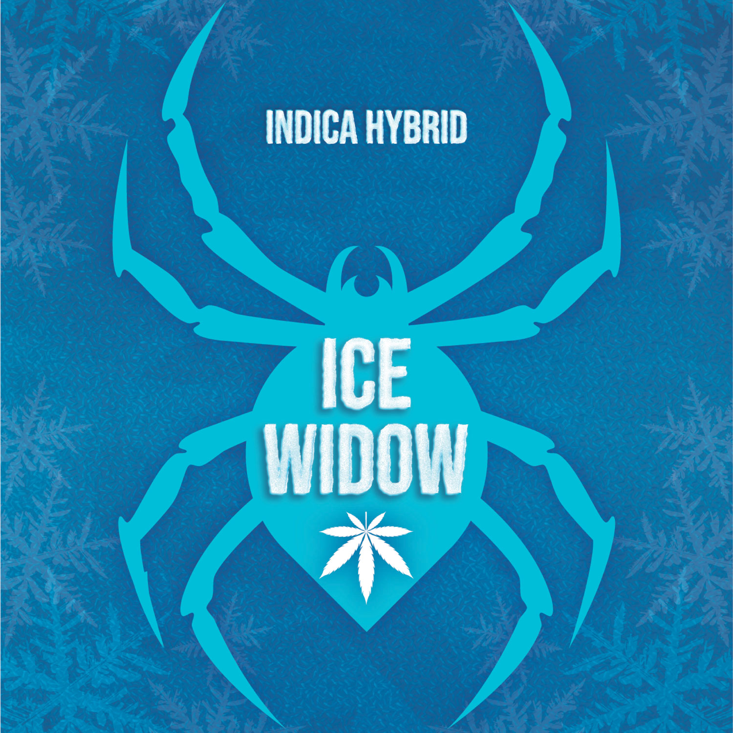 tru infusion packaging